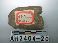 藏品(帶孔石刀殘件)的圖片